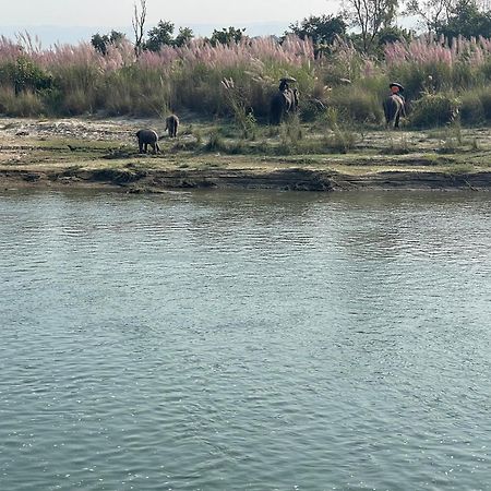 Chitwan Riverside Resort Саураха Экстерьер фото