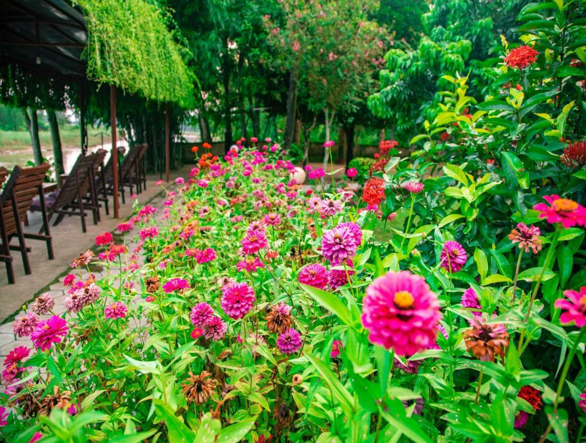Chitwan Riverside Resort Саураха Экстерьер фото